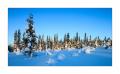 Winter in Lappland #36062