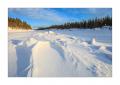 Winter in Lappland #36132