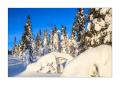 Winter in Lappland #36224 Winter in Lappland #36224