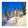 Winter in Lappland #Winter 36227