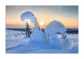 Winter in Lappland #36254 Winter in Lappland #36254