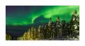 Polarlicht in Lappland #39515