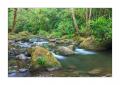 Nationalpark Quetzales #37675 Nationalpark Quetzales #37675