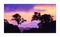 Sonnenuntergang #37850