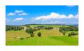 Montfaucon #35911