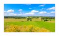 Montfaucon #35917