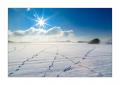 Gempen im Winter #39351