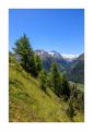 Aussicht vom Muottas Muragl #5ds00157