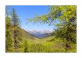 Frühling im Sertigtal #34234