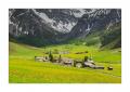 Frühling im Sertigtal #34357
