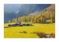 Herbst im Sertigtal #36423 Herbst im Sertigtal #36423