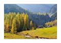 Herbst im Sertigtal #36438 Herbst im Sertigtal #36438