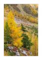 Herbst im Sertigtal #36489