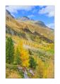 Herbst im Sertigtal #36493