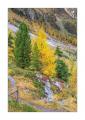 Herbst im Sertigtal #36498