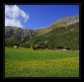 Sertig #3451 Sertig #3451