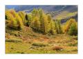 Val Tuoi #336866