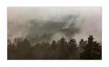 bayerischer Wald #5ds02990