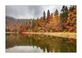 bayerischer Wald #5ds03030