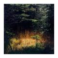Rissbachtal #5ds03088