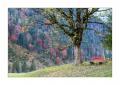 Rissbachtal #5ds03110