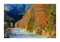 Rissbachtal #5ds03135