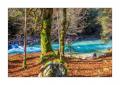 Rissbachtal #5ds03184