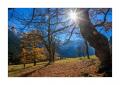 Grosser Ahornboden #5ds03080 Grosser Ahornboden #5ds03080