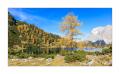 Seebensee #5ds03434