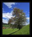 Escholzmatt #3636