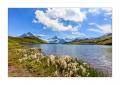 Bachalpsee #5Ds 04151