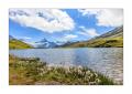 Bachalpsee #5Ds 04152