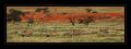 Oryx #13144 Oryx #13144