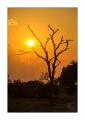 Sonnenuntergang in Südafrika #5ds00973