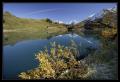 Trüebsee #1570 Trüebsee #1570