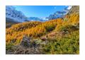 Stafelalp #5D301801