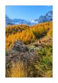 Stafelalp #5D301802
