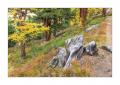 Herbst in Zermatt #5D301599