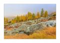 Herbst in Zermatt #5D301723