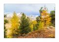 Herbst in Zermatt #5D301583