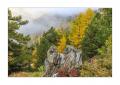 Herbst in Zermatt #5D301714