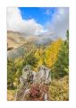 Herbst in Zermatt #5D301716