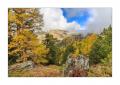 Herbst in Zermatt #5D301718