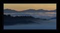 Raten Aussicht #16800
