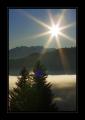 Raten Aussicht #16831