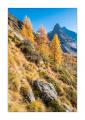 Val d'Herens #F01646