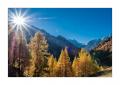 Val d'Arolla #F01494