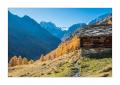 Val d'Arolla #F01506 Val d'Arolla #F01506