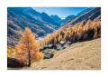 Val d'Arolla #F01541