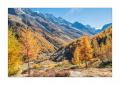 Val d'Arolla #F01561